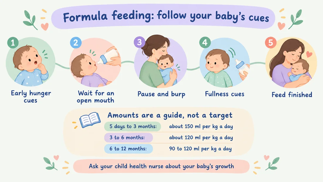 Five-step illustration of responsive formula feeding: early hunger cues, waiting for an open mouth, pause and burp, fullness cues and feed finished, with age-based amounts